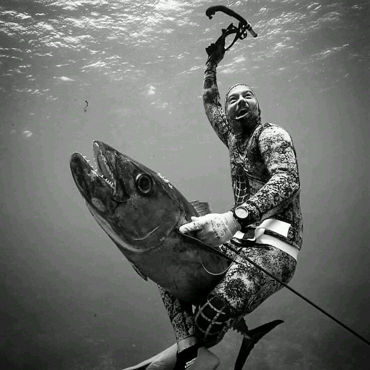 Scuba Diving and Chaos in Ensenada
