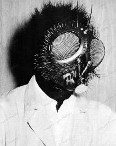 The Maggot Manifesto