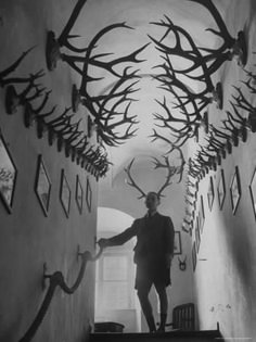 The Illusion of The Hunt