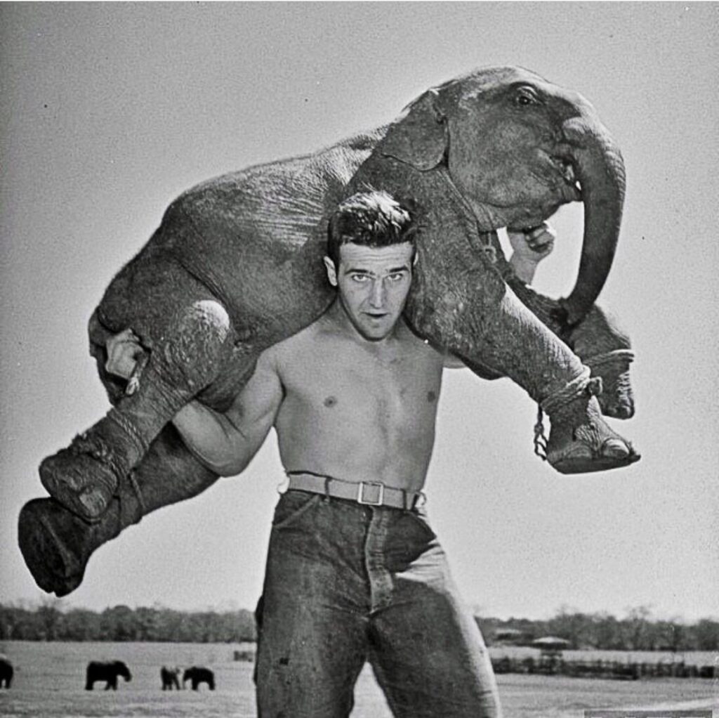 The Weight of an Elephant