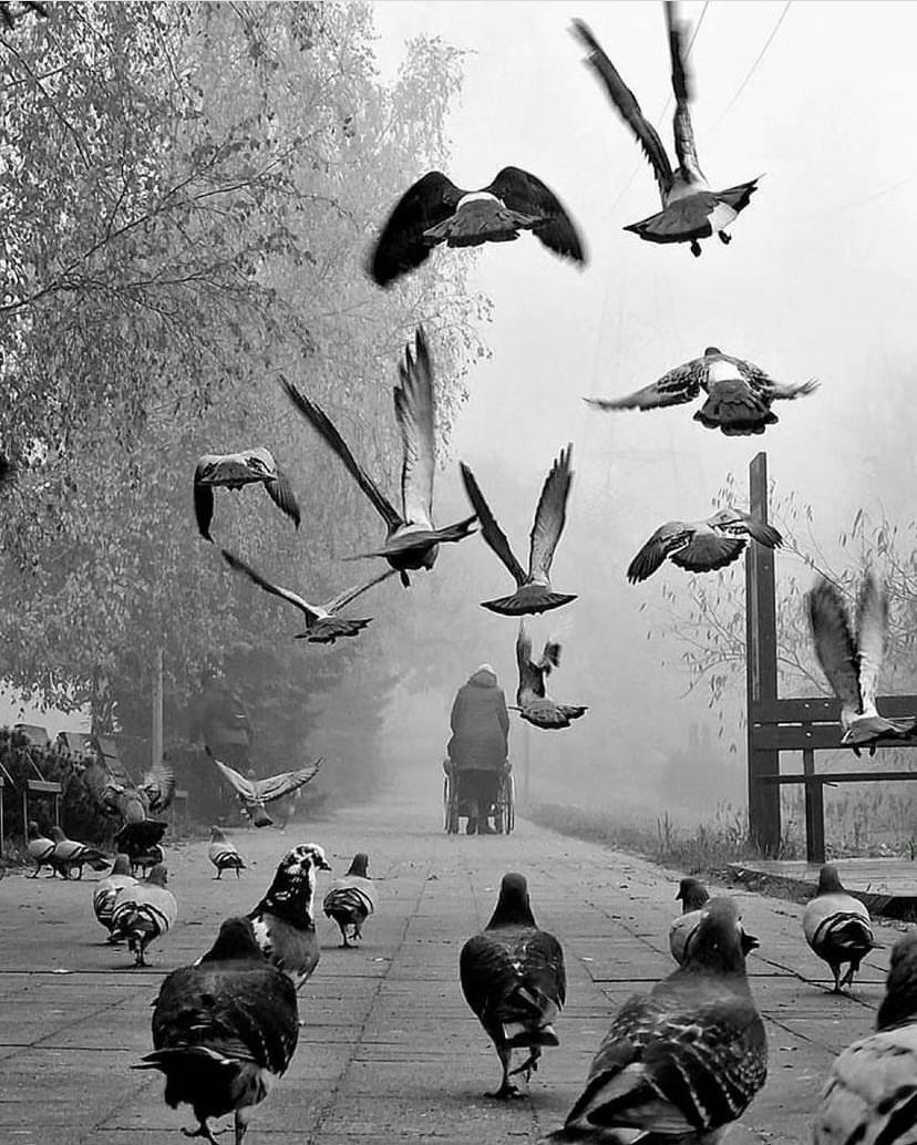 The Aunt Yoli Fade Away