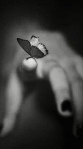 The Morning of Cheerleader 8